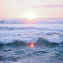 surplusmistrust avatar