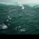 surprised-surrealists avatar