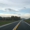 surprisingly-simple avatar