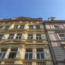 surprisinglysuavekoala avatar