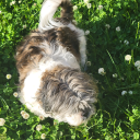 surrenderedsoul avatar