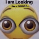 surrounded-bysea avatar