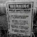 survivalxofxthexfittest avatar