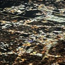 survived-too-much avatar