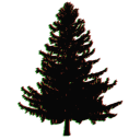 survivedabyss avatar