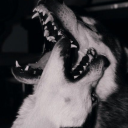 surviving-out-of-spite avatar