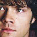 survivingsunflower83 avatar