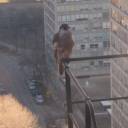 susanbslamthony avatar