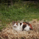 susanndaljord avatar