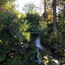 susanstewart1314 avatar