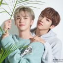 sushi-the-nobody avatar