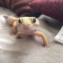 sushi1967-blog avatar