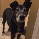 suspicious-egg avatar