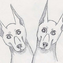 suspicious-scritches avatar