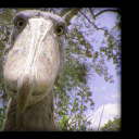 suspiciousbiscotti avatar