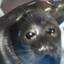 suspiciousshopboy avatar