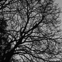 sussenisikerimm avatar