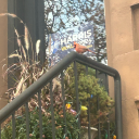 sutphinboulevibe avatar