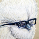 suzythesilkie avatar