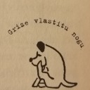 svemirac-paraglajder avatar