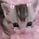 sw33t-as-saccharin3 avatar