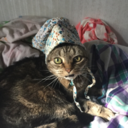 swagaliciousswagger avatar