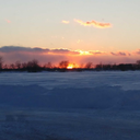 swagangelhorsepickle avatar