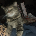 swaggyspaceghost avatar