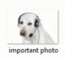 swagpatrolkitten avatar