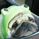 swagpugthug-blog avatar