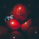 swallow-the-gold-shark avatar