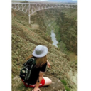 swallowed-bythesea avatar