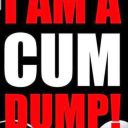 swallows28428 avatar