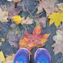 swallowtailskies avatar