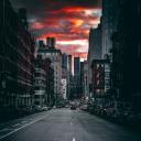 swallowthedark avatar