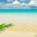 swamibythesea avatar