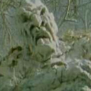 swamp-dweller777-blog avatar