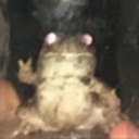 swampcreatura avatar