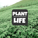 swampdonkey101 avatar