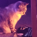 swampdriinker avatar