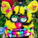 swampfurby avatar