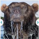 swampslogger-blog avatar