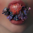 swan-uponleda avatar