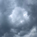 swankythedolphin avatar