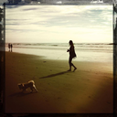 swanqueenispoetry avatar