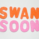 swansoon-blog-blog avatar
