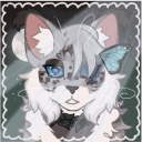 swanwingwarriorcats avatar