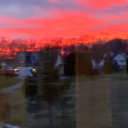 swarm-of-mothmen avatar