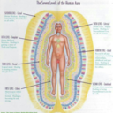 swayme-likethesea avatar