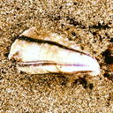 swaywiththewaves-blog avatar